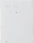 Notitieblaadjes Patricia | Zaadpapier | 6 stuks