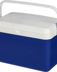 Koelbox Sunkissed | 4 l
