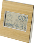 Weerstation Lia | Bamboe