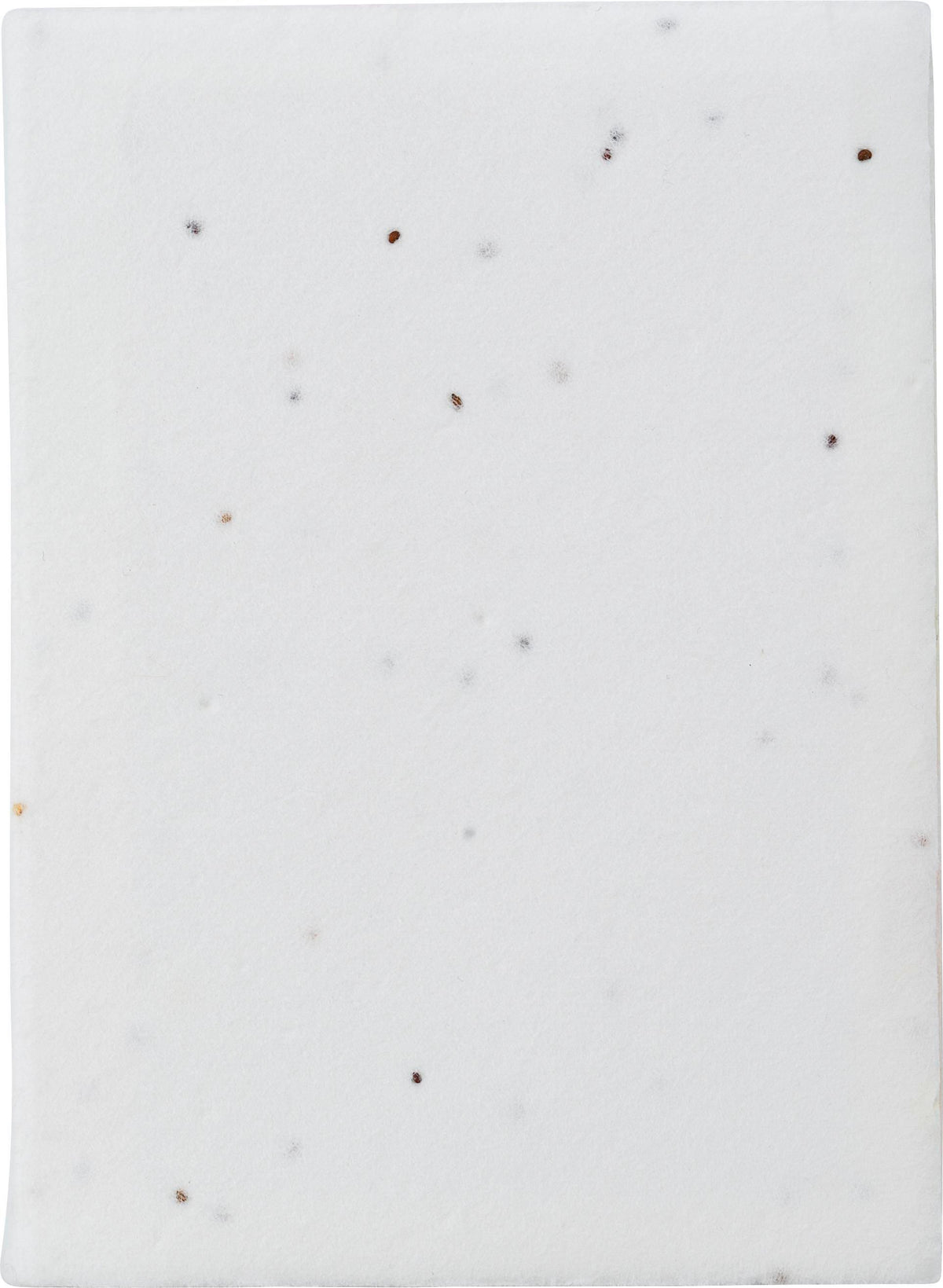 Notitieblaadjes Patricia | Zaadpapier | 6 stuks