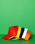 Pet Lisa | Katoenen twill | 5 panels