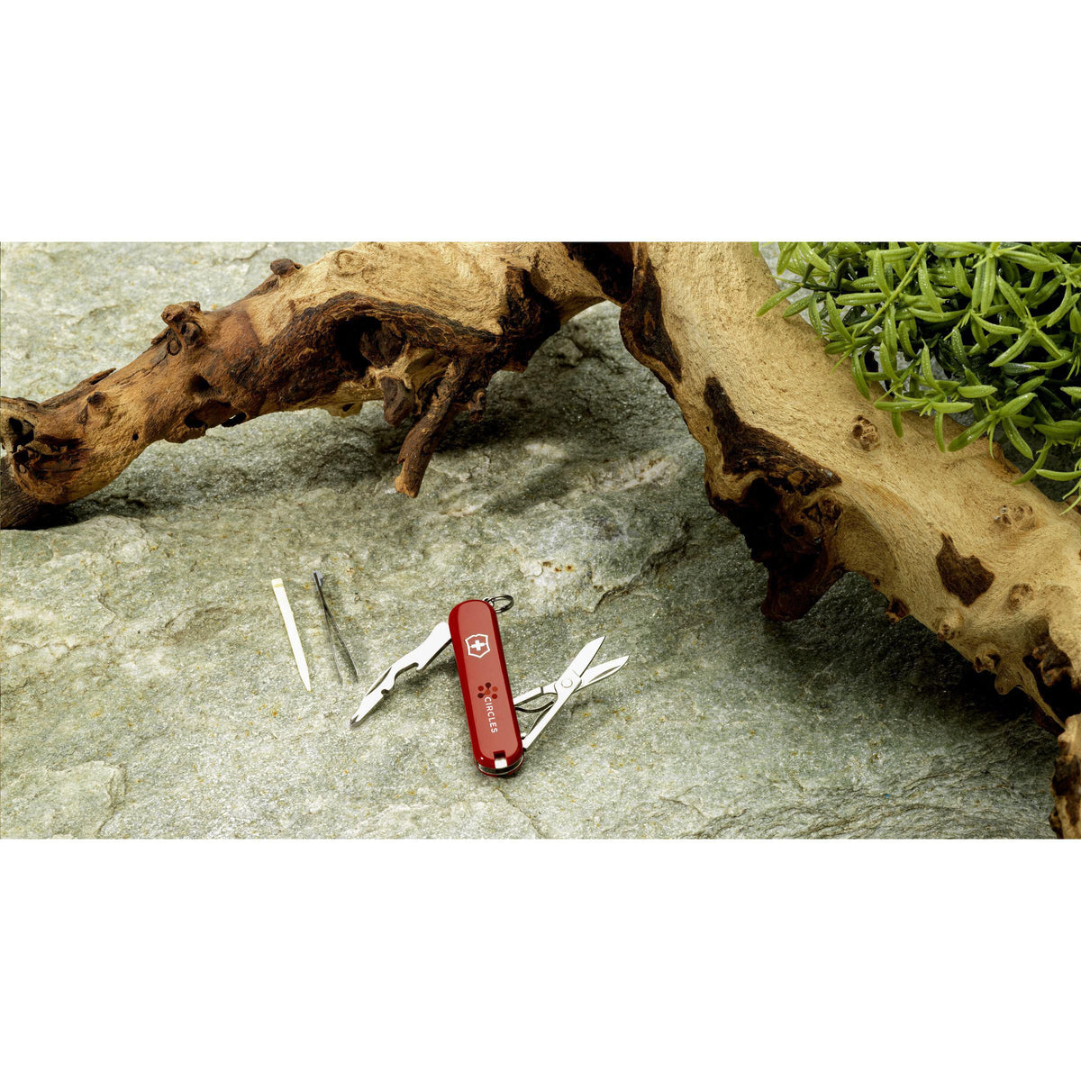 Victorinox zakgereedschap Jetsetter | 7 functies