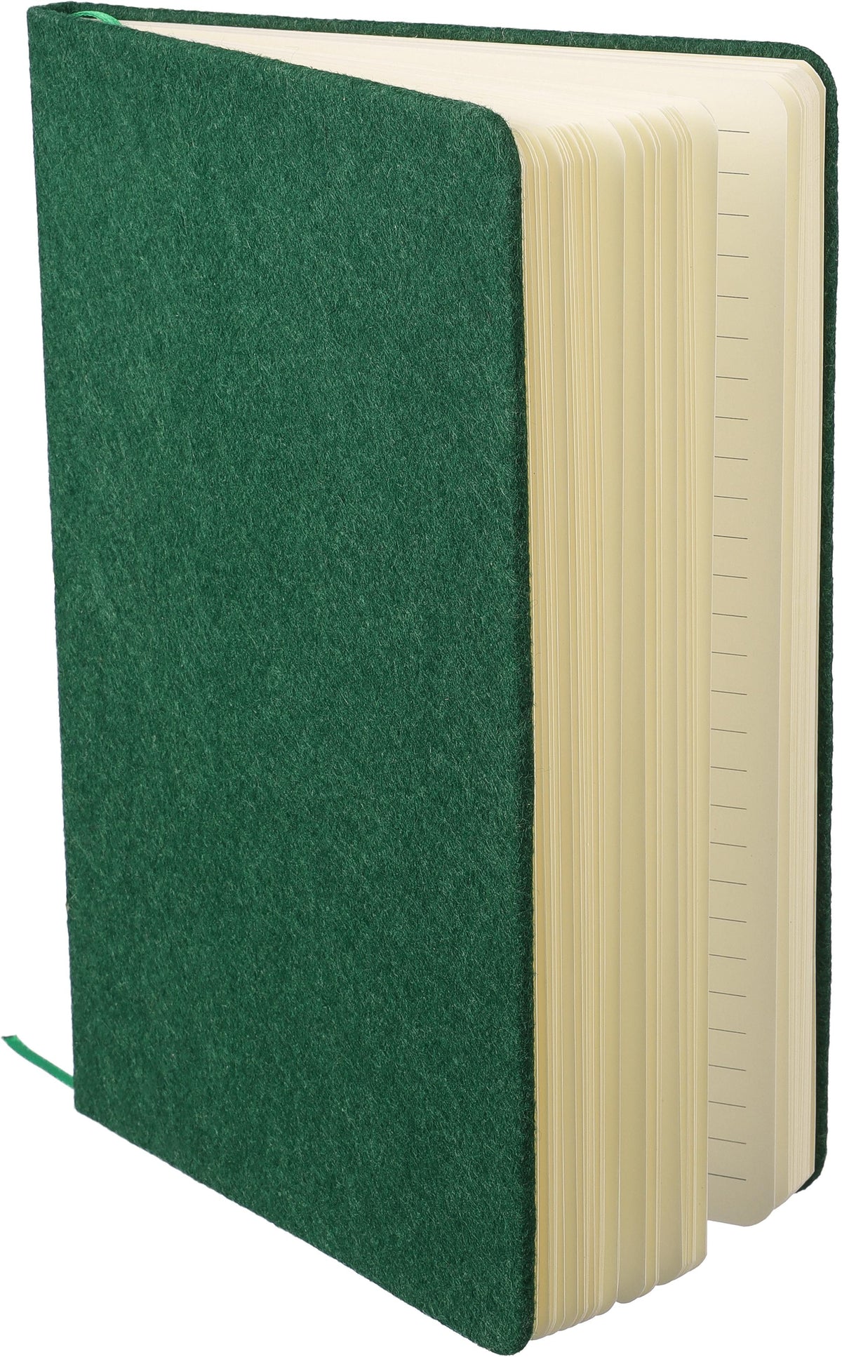 Notitieboek Danio | Vilt | A5 | Gelijnd