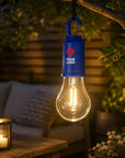Gloeilamp Dalton | Vintage | 60 lumen
