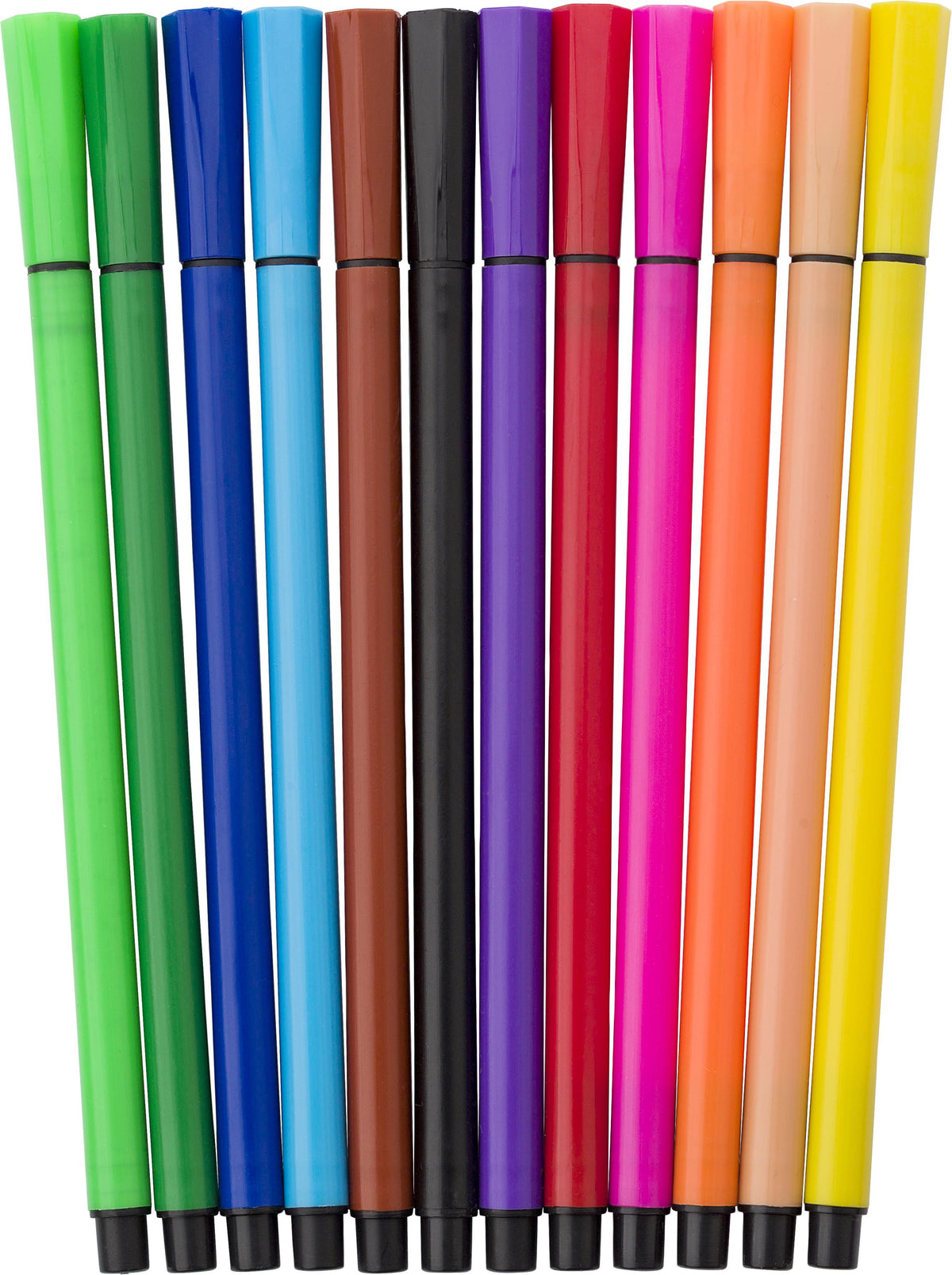 Viltstiften Evan | 12 stuks
