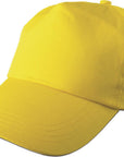 Pet Lisa | Katoenen twill | 5 panels