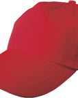 Pet Lisa | Katoenen twill | 5 panels